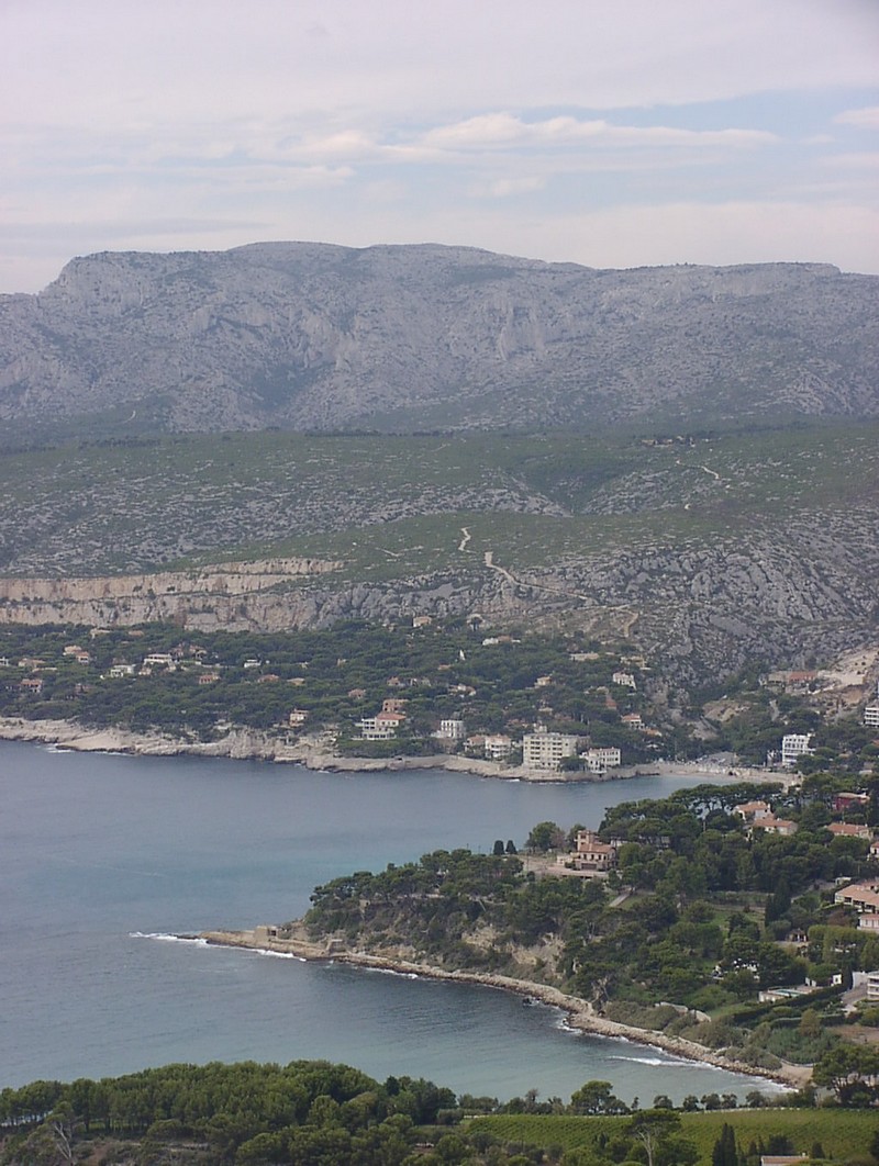 cassis