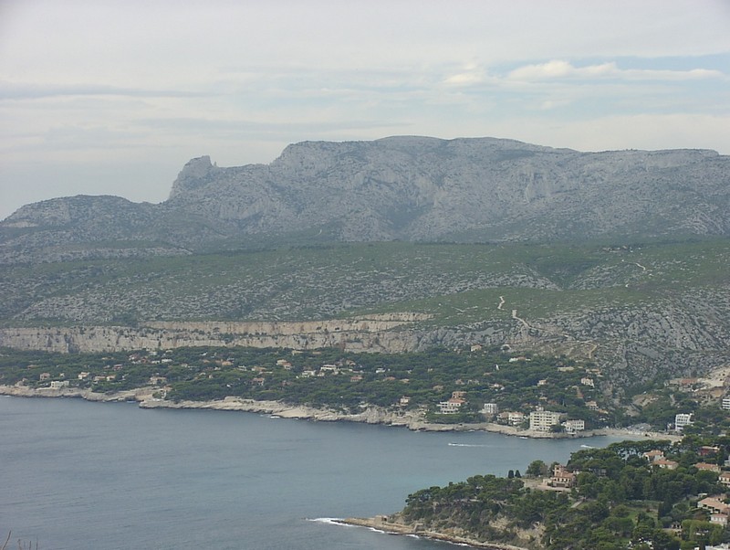 cassis
