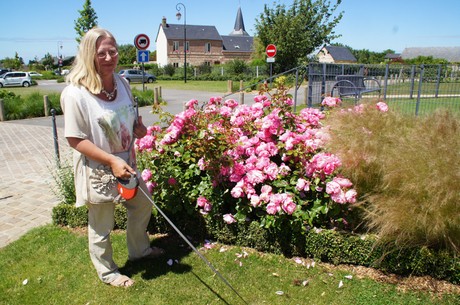 cauville-sur-mer