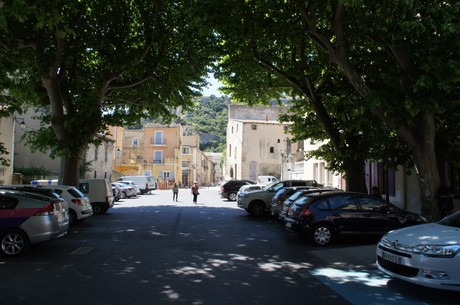 cavaillon