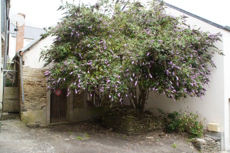 chateauneuf-du-faou