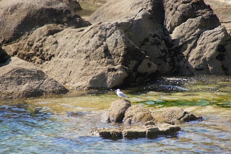 concarneau