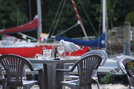 douarnenez