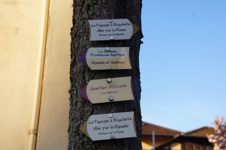 eguisheim