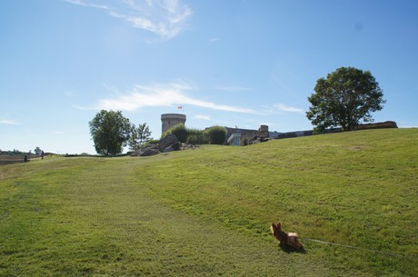 falaise