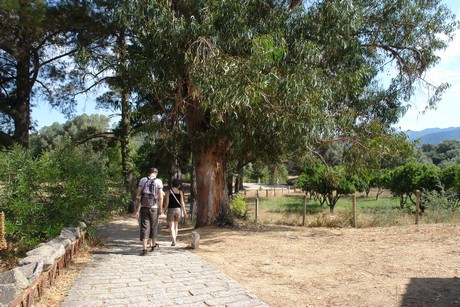 filitosa