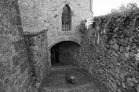 Foix
