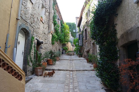 Grimaud