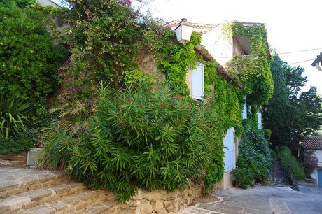 Grimaud