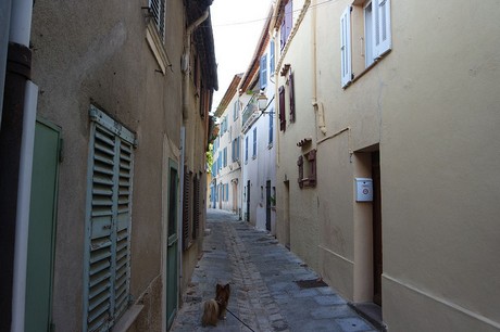 Grimaud