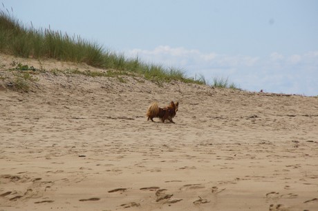 guidel-plages