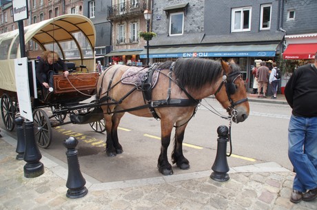 Honfleur