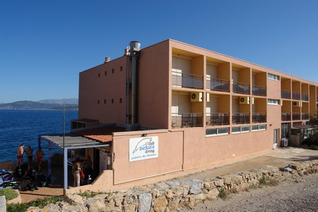 ile-rousse-hafen