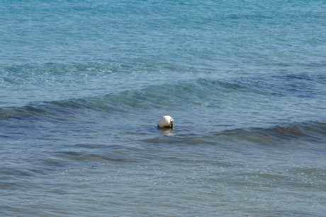 ile-rousse-strand