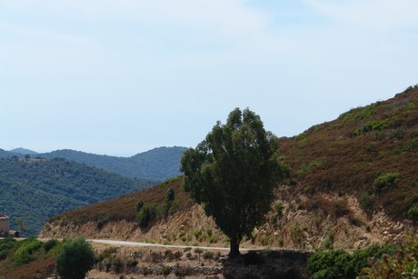 korsika