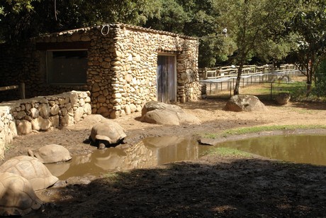 schildkroeten