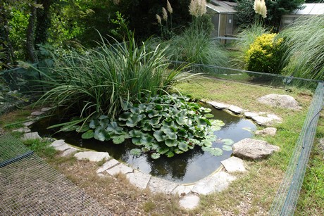 schildkroeten