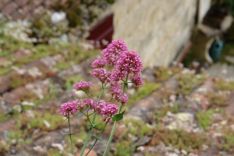 la-roque-gageac