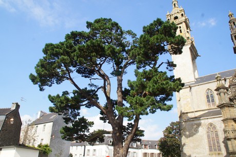 Landerneau