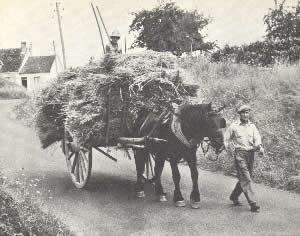 Leben in Frankreich - anno 1962