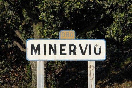 minervio