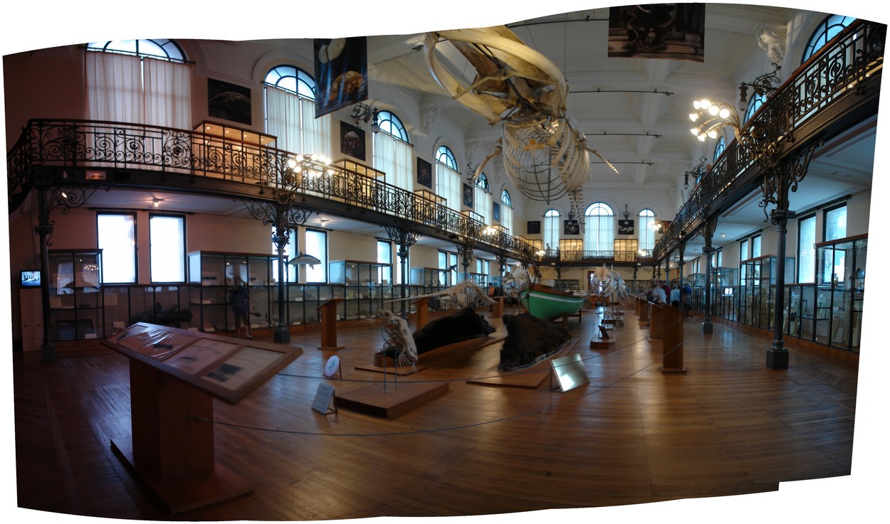 Ozeanografisches Museum
