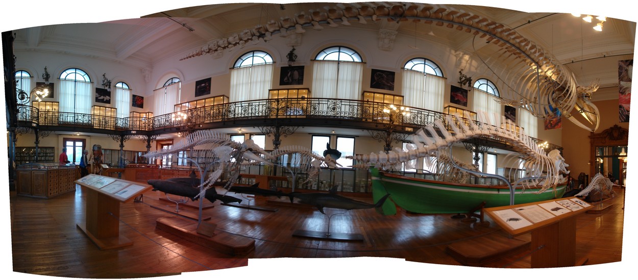 Ozeanografisches Museum