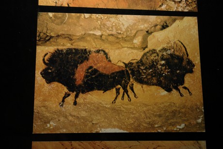 lascaux