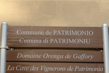 patrimonio
