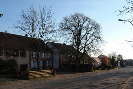 petersbach