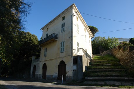 pino