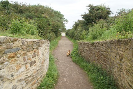 pointe-des-espagnols