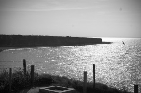 pointe-du-hoc