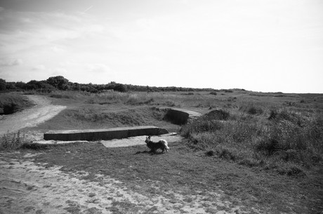 pointe-du-hoc