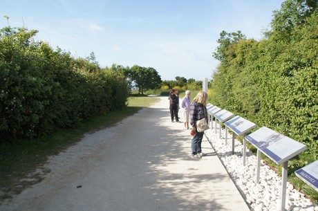 pointe-du-hoc