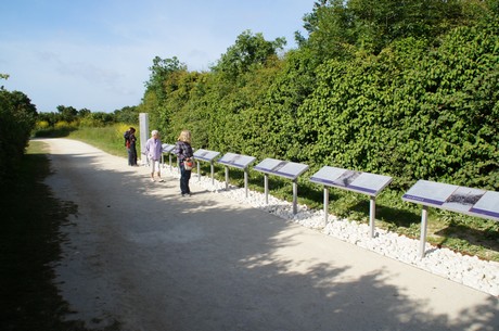 pointe-du-hoc