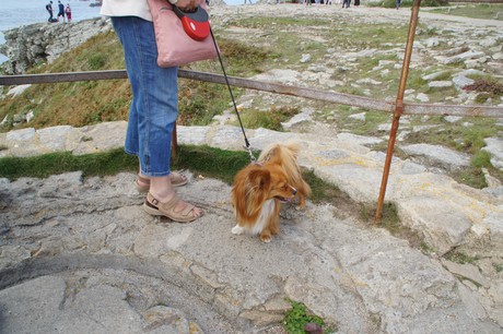 pointe-du-raz