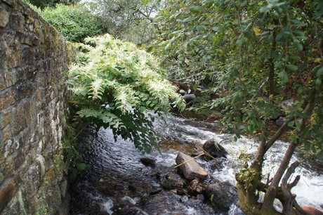 pont-aven