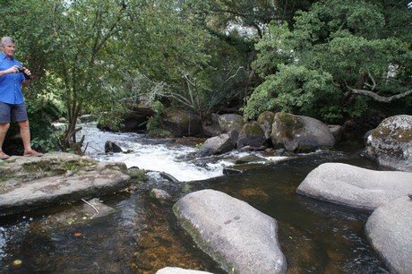 pont-aven