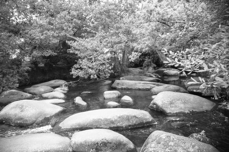 pont-aven