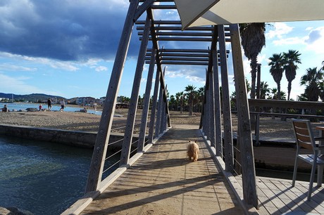 Port-Grimaud
