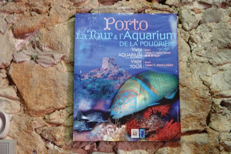 porto-aquarium