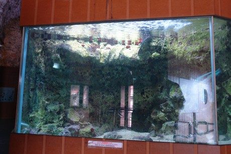 porto-aquarium
