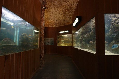 porto-aquarium