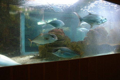 porto-aquarium