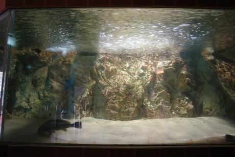 porto-aquarium