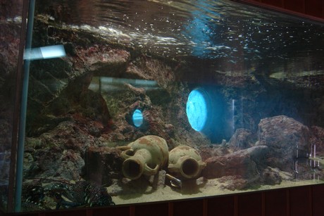 porto-aquarium