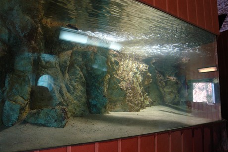 porto-aquarium