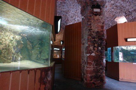 porto-aquarium