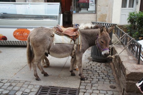 Quimper